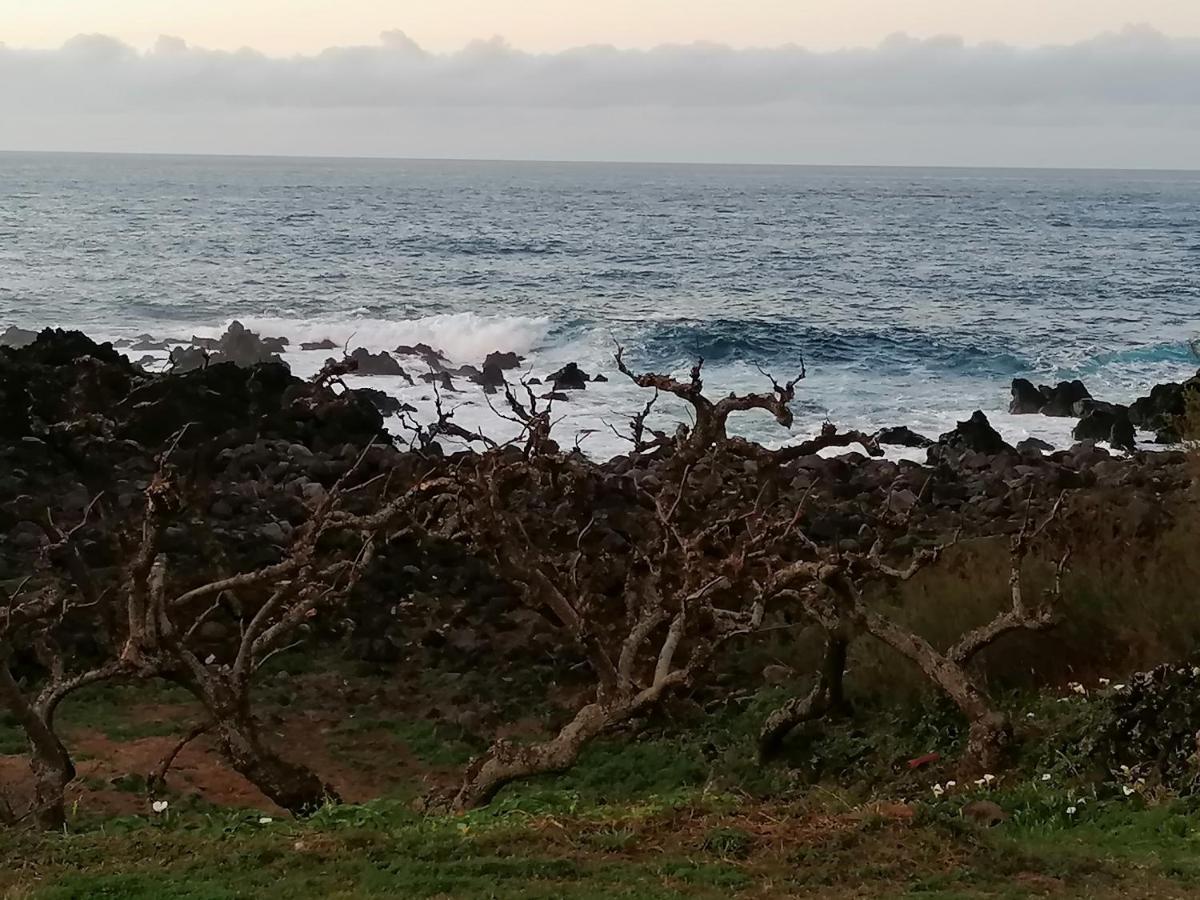 Villa A Casa Da Formosinha Madalena  Esterno foto
