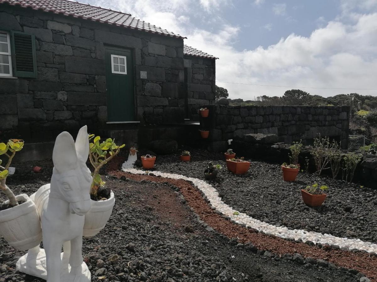 Villa A Casa Da Formosinha Madalena  Esterno foto