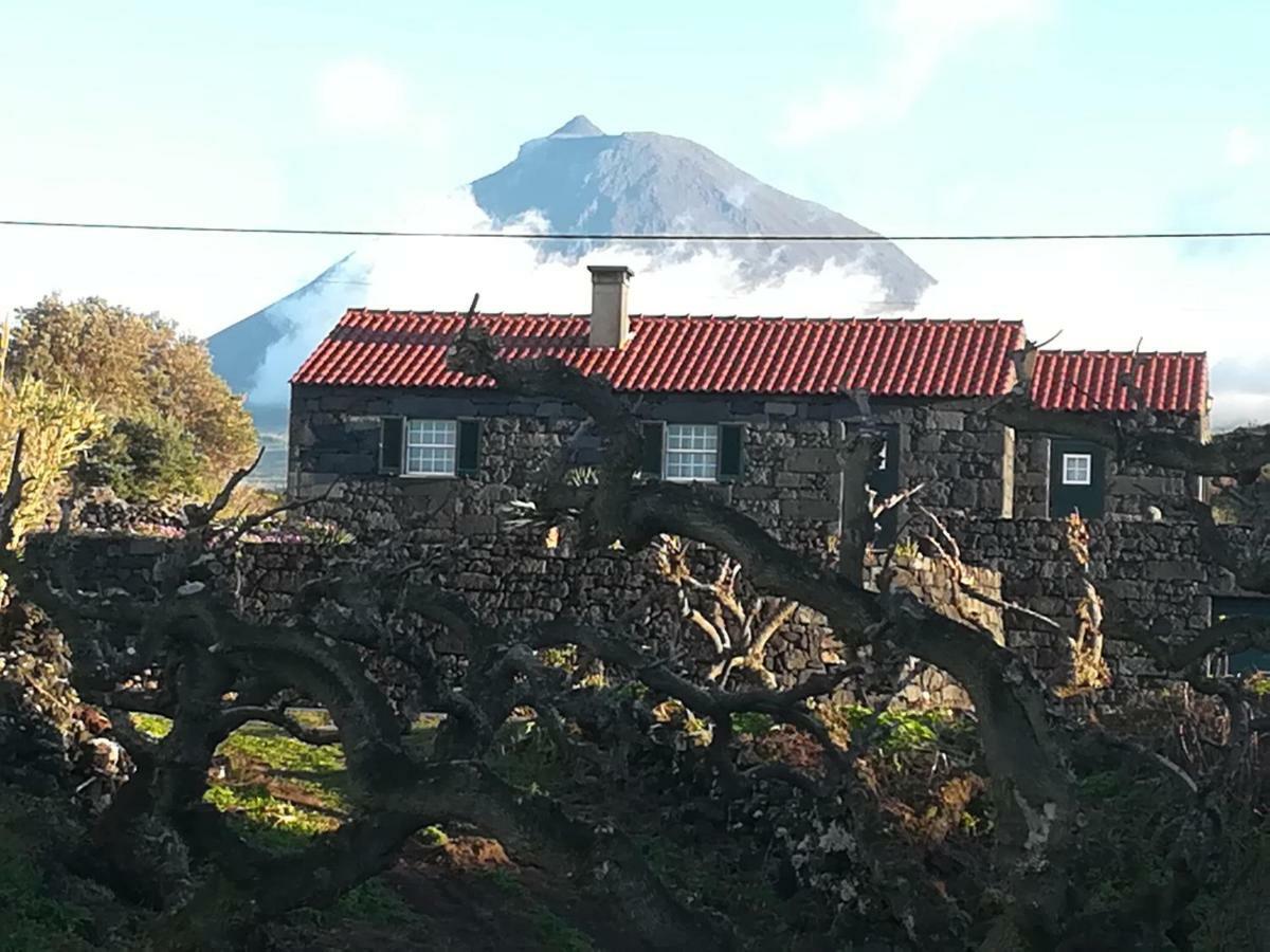 Villa A Casa Da Formosinha Madalena  Esterno foto