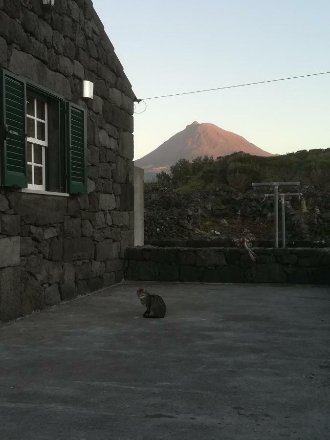 Villa A Casa Da Formosinha Madalena  Esterno foto