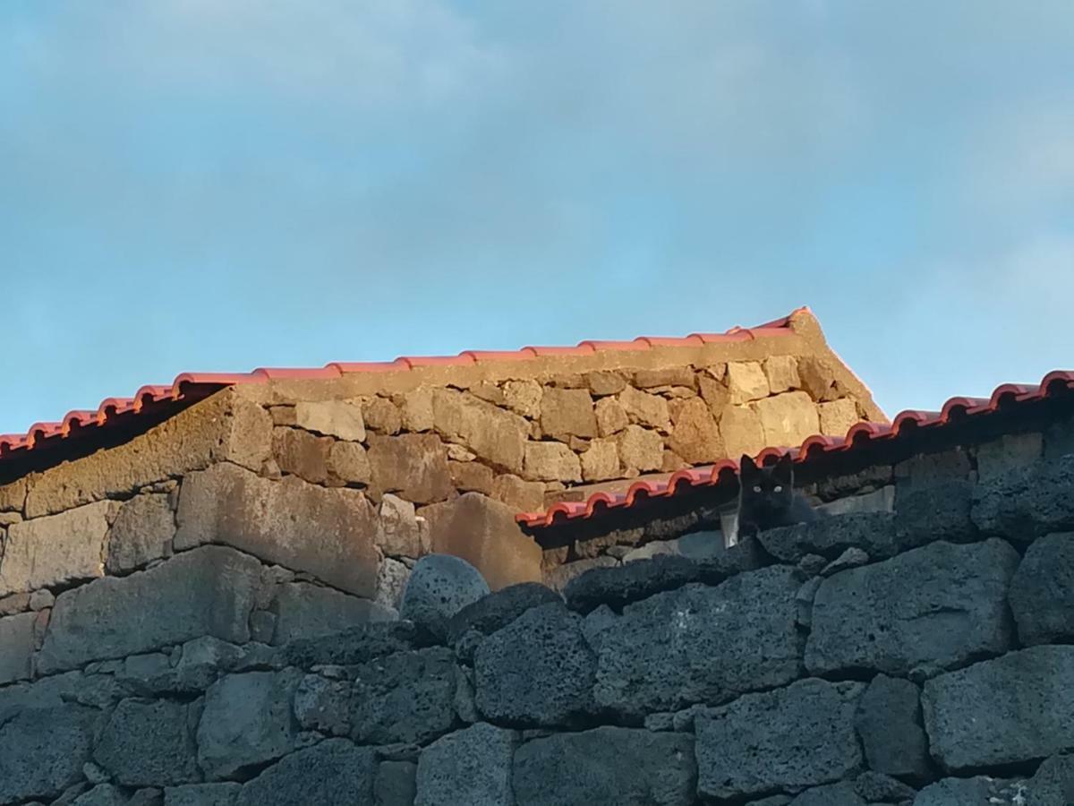 Villa A Casa Da Formosinha Madalena  Esterno foto